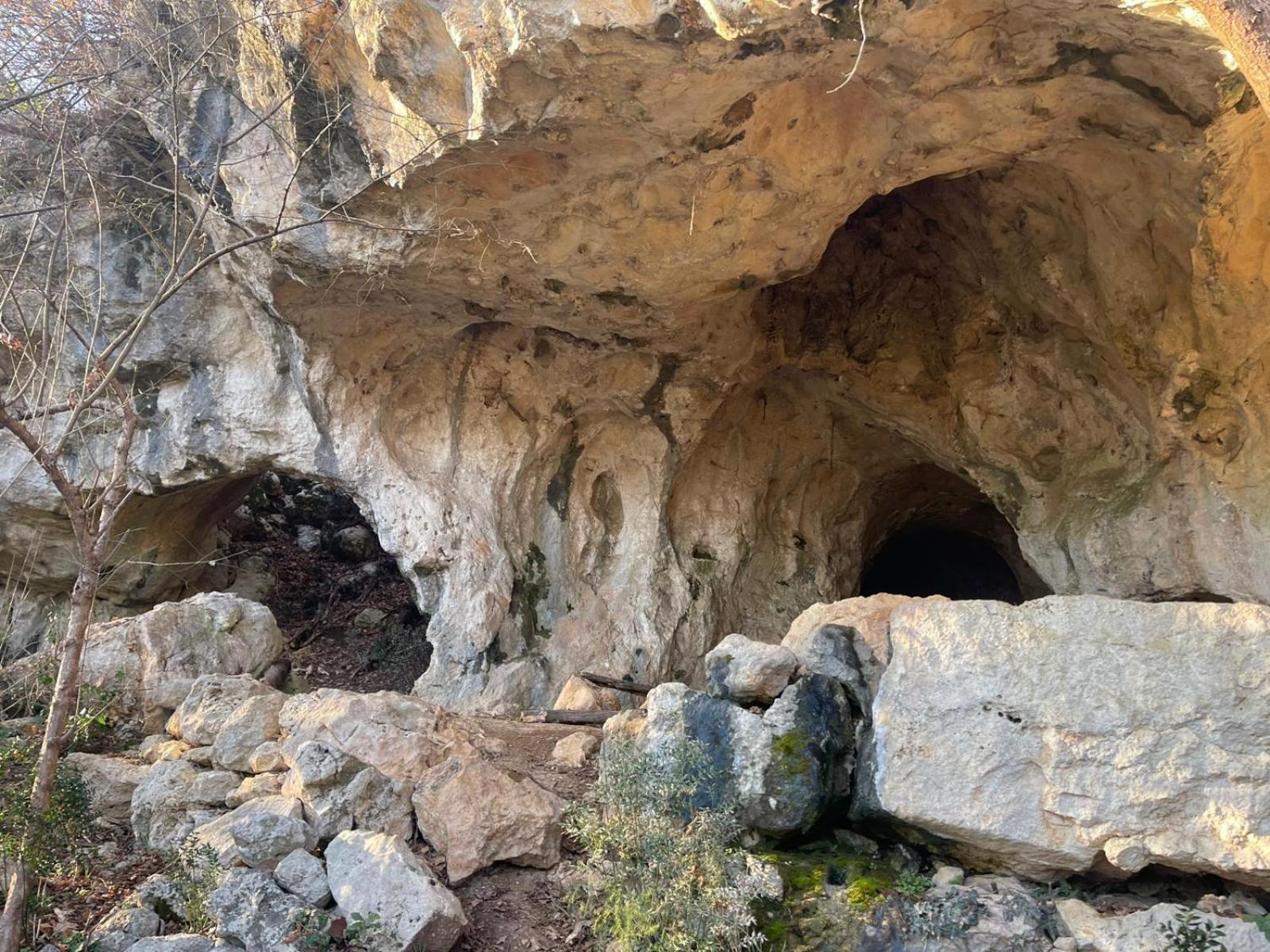 La Torretta - Incantevole Appartamento Nei Colli Berici Nanto Εξωτερικό φωτογραφία