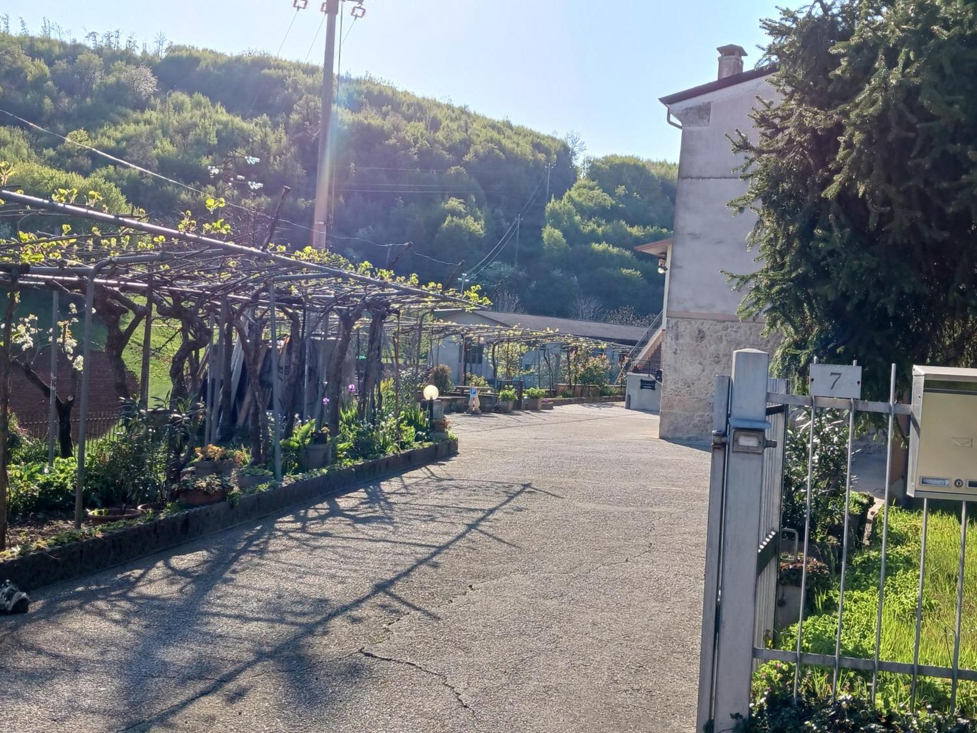 La Torretta - Incantevole Appartamento Nei Colli Berici Nanto Εξωτερικό φωτογραφία