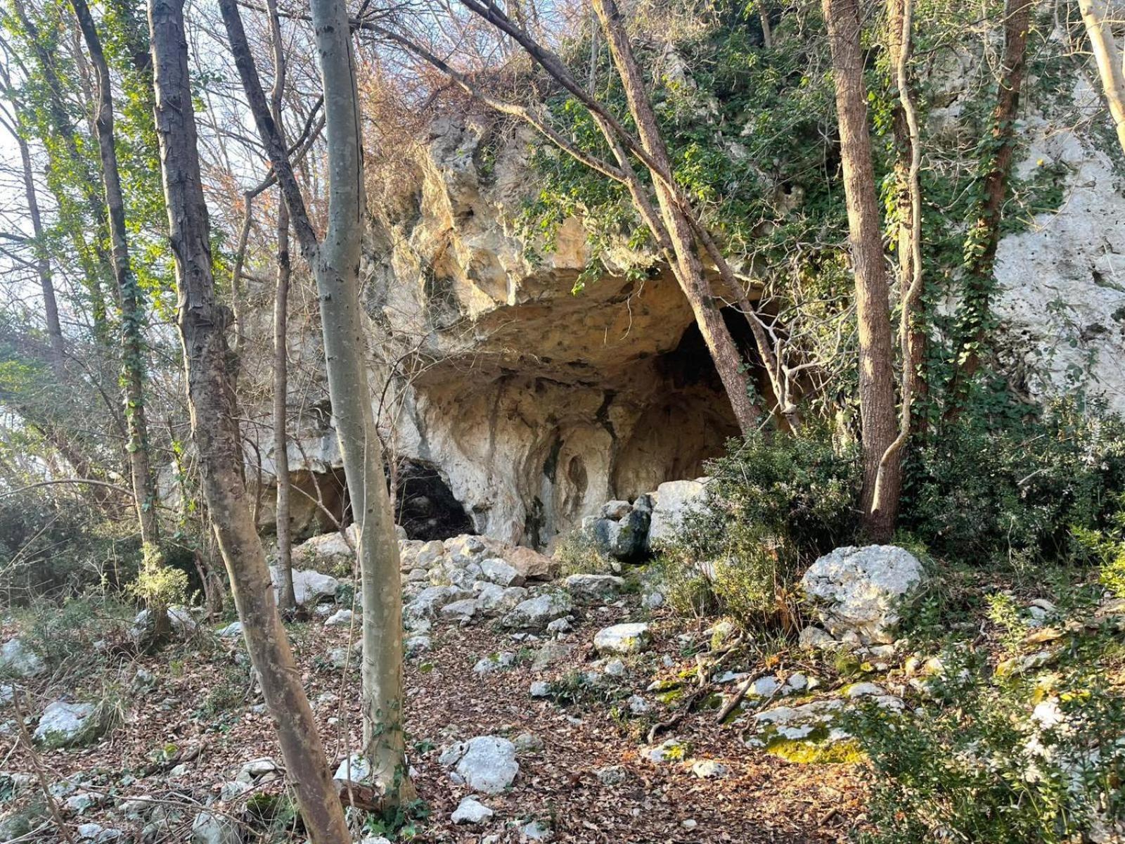 La Torretta - Incantevole Appartamento Nei Colli Berici Nanto Εξωτερικό φωτογραφία